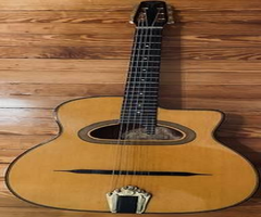 Gitane D 500 - Used with Case