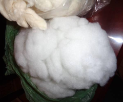 Cotton Batting & Wool Fleece