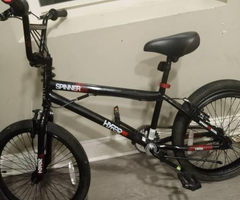 Spinner BMX Bike