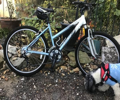 26 Fuji Versa Mountain Bike