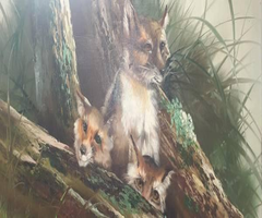 Oil Painting - Three Cute Foxes