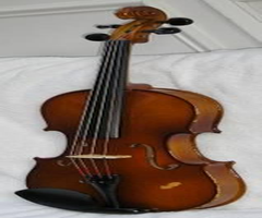 15 Inch Carlo Robelli P-250 Viola