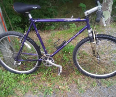 Vintage Giant Atx750 mens mountain bike