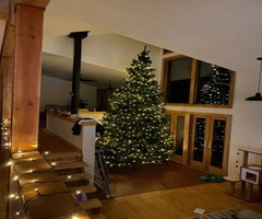 15 ft Christmas Tree (Not Pre-Lit)