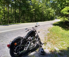 Harley Davidson Sportster