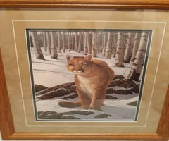 Mountain Lion/Cougar signed/numbered print~