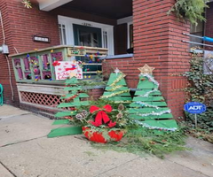 Christmas trees pallet