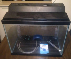 20 gallon aquarium