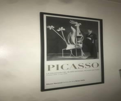 Picasso Museum Poster