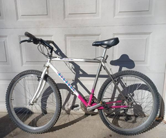 Bianchi Mountain Bike. Nice. I can Deliver