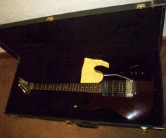 1989 Hamer Chaparral Sustaniac