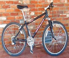 Performance M201 Mountain Bike